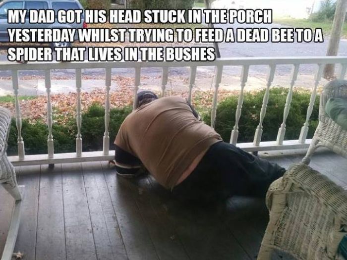 funny porch head - My Dad Got His Head Stuck In The Porch Yesterday Whilst Trying To Feed A Dead Beetoa Spider That Lives In The Bushes