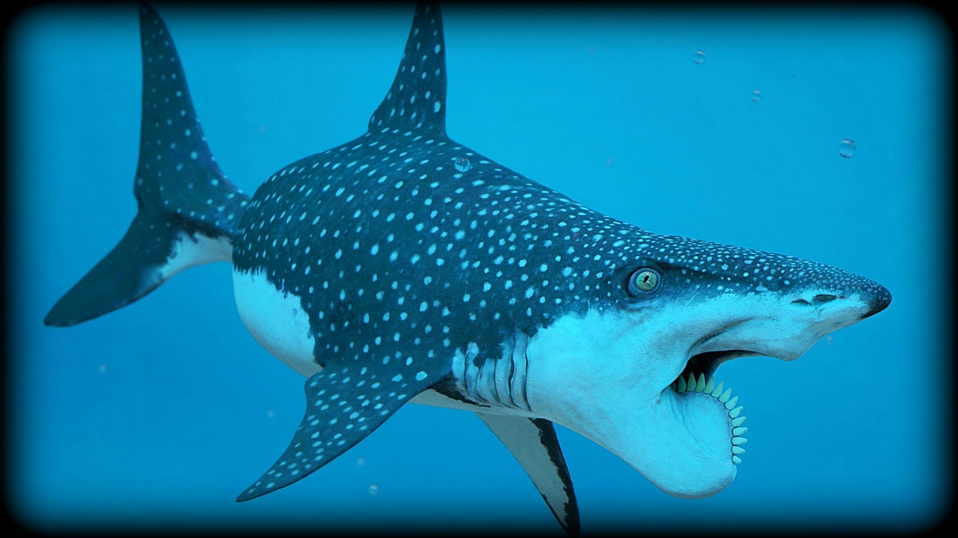 helicoprion shark -