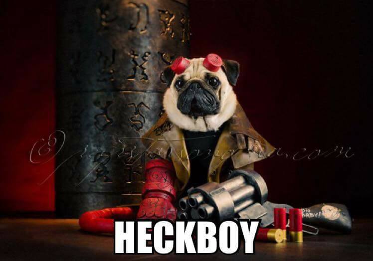 pug and hellboy combination that looks like heckboy