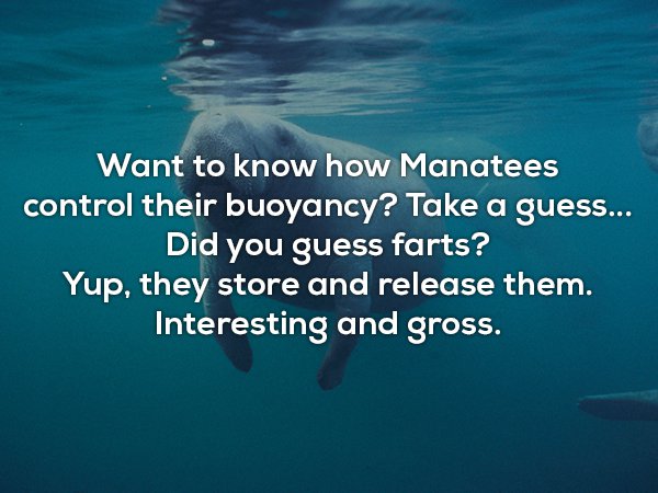 22 Unbelievable Facts That Will Astound You