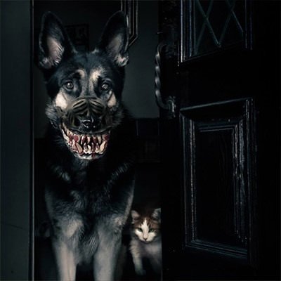 Turn your normal dog into a much cooler dog with the werewolf muzzle <a href=https://amzn.to/2kCrWL target="_blank "no follow"i>here</a>.