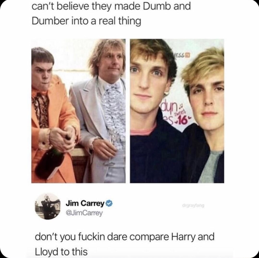 memes - jeff daniels dumb and dumber - can't believe they made Dumb and Dumber into a real thing 16 Jim Carrey Carrey don't you fuckin dare compare Harry and Lloyd to this