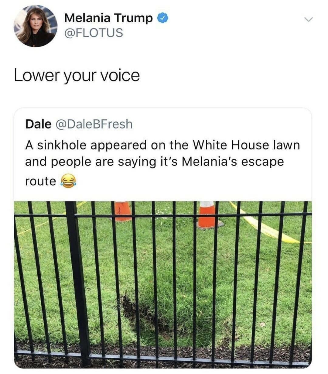 memes - The White House - Melania Trump Lower your voice Dale A sinkhole appeared on the White House lawn and people are saying it's Melania's escape route