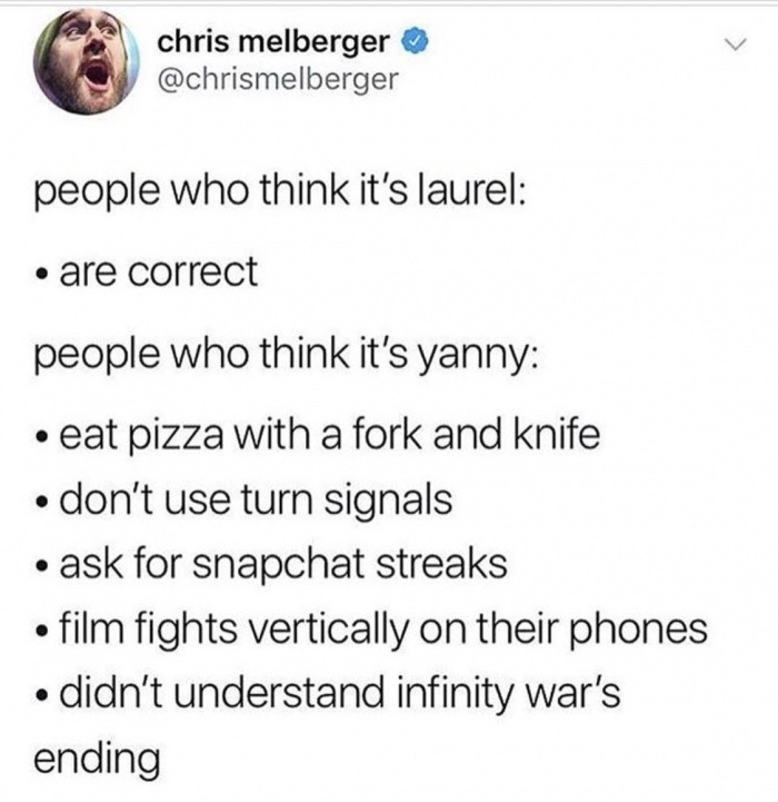 memes - angle - chris melberger people who think it's laurel are correct people who think it's yanny eat pizza with a fork and knife don't use turn signals ask for snapchat streaks film fights vertically on their phones didn't understand infinity war's en