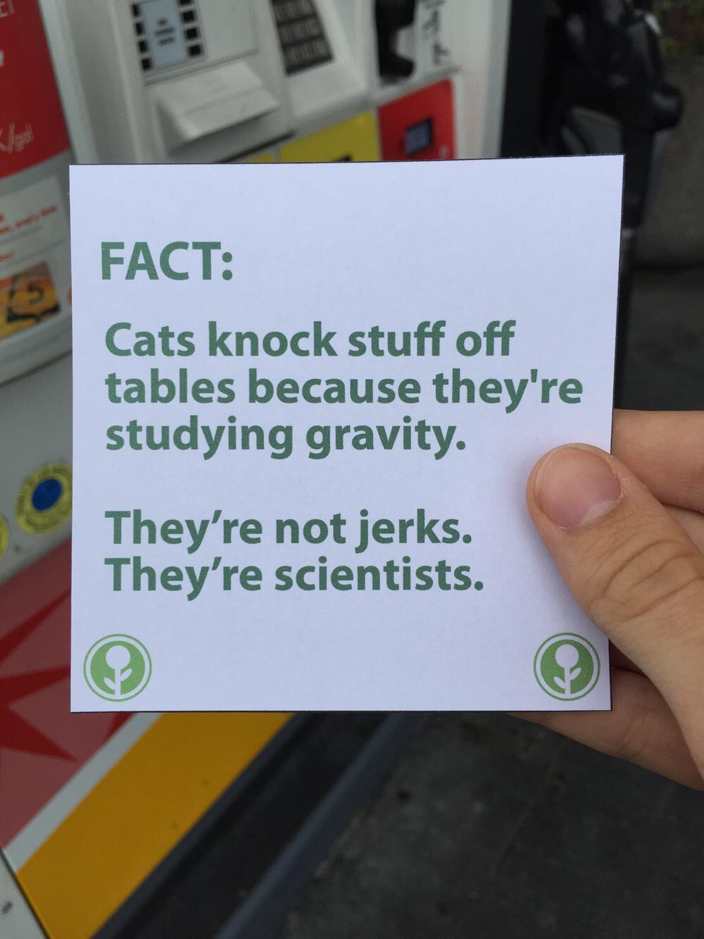 fun fact on studying - Fact Cats knock stuff off tables because they're studying gravity. They're not jerks. They're scientists.