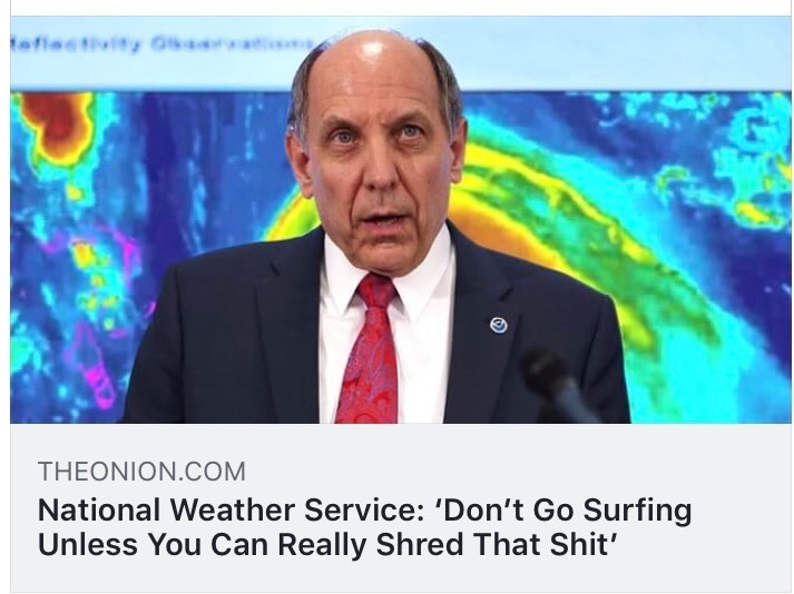 presentation - Theonion.Com National Weather Service 'Don't Go Surfing Unless You Can Really Shred That Shit'