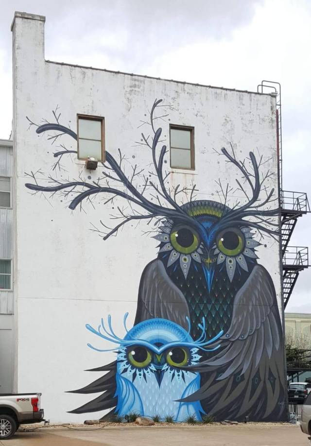 Owl and owl son graffiti