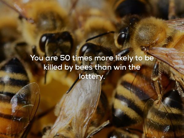 29 Disturbing Facts That Will Leave You Feeling Unsettled