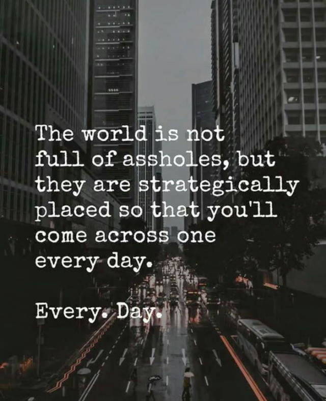 world is full of assholes - The world is not full of assholes, but they are strategically placed so that you'll come across one every day. Every. Day.