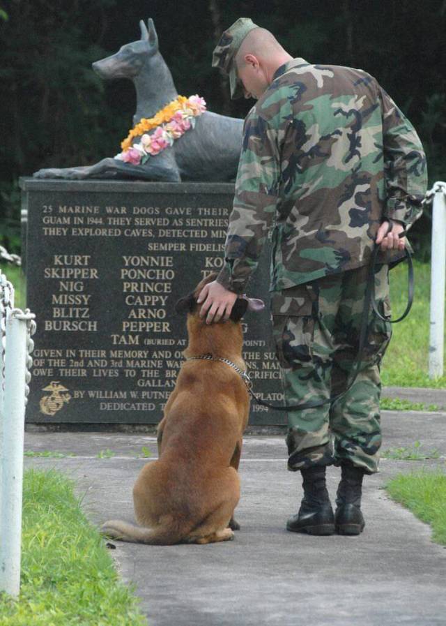 marine war dog memorial - 25 Marine War Dogs Gave Their Guam In 1944. They Served As Sentries They Explored Caves, Detected Min Semper Fidelis Kurt Yonnie Kos Skipper Poncho Nig Prince Missy Cappy 22 Blitz Arno Bursch Pepper Tam Buried At Given In Their M