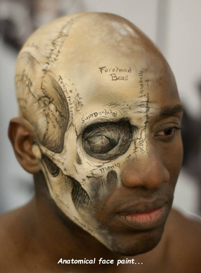 easy halloween makeup men - Forehead Boss & Glabello orbito suppon marita Anatomical face paint...
