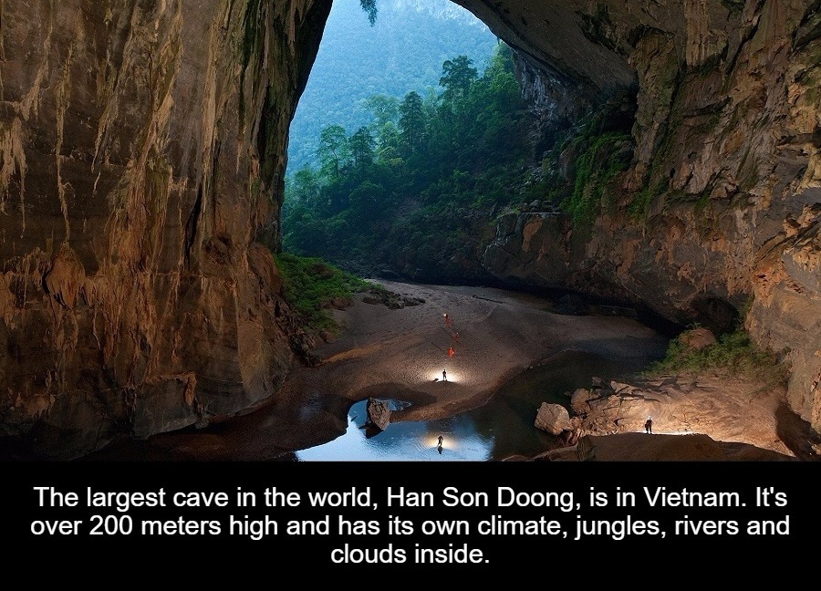 world's largest cave - The largest cave in the world, Han Son Doong, is in Vietnam. It's over 200 meters high and has its own climate, jungles, rivers and clouds inside.