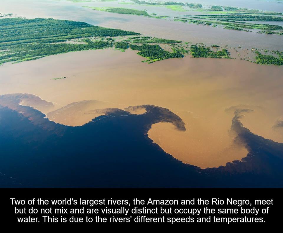 amazon and rio negro - Two of the world's largest rivers, the Amazon and the Rio Negro, meet but do not mix and are visually distinct but occupy the same body of water. This is due to the rivers' different speeds and temperatures.