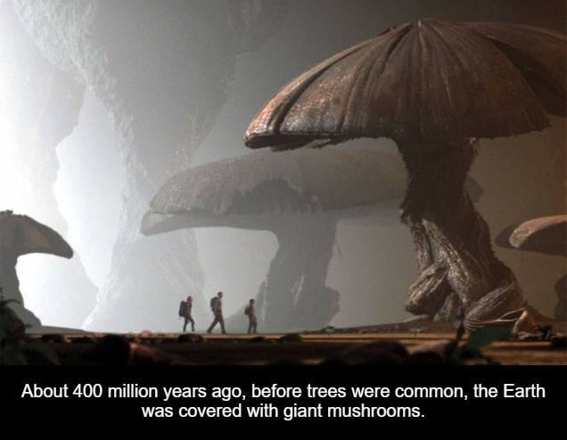 jules verne journey to the center - About 400 million years ago, before trees were common, the Earth was covered with giant mushrooms.