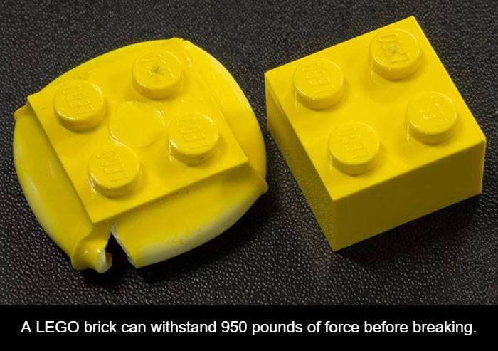 hell are you meme - A Lego brick can withstand 950 pounds of force before breaking.