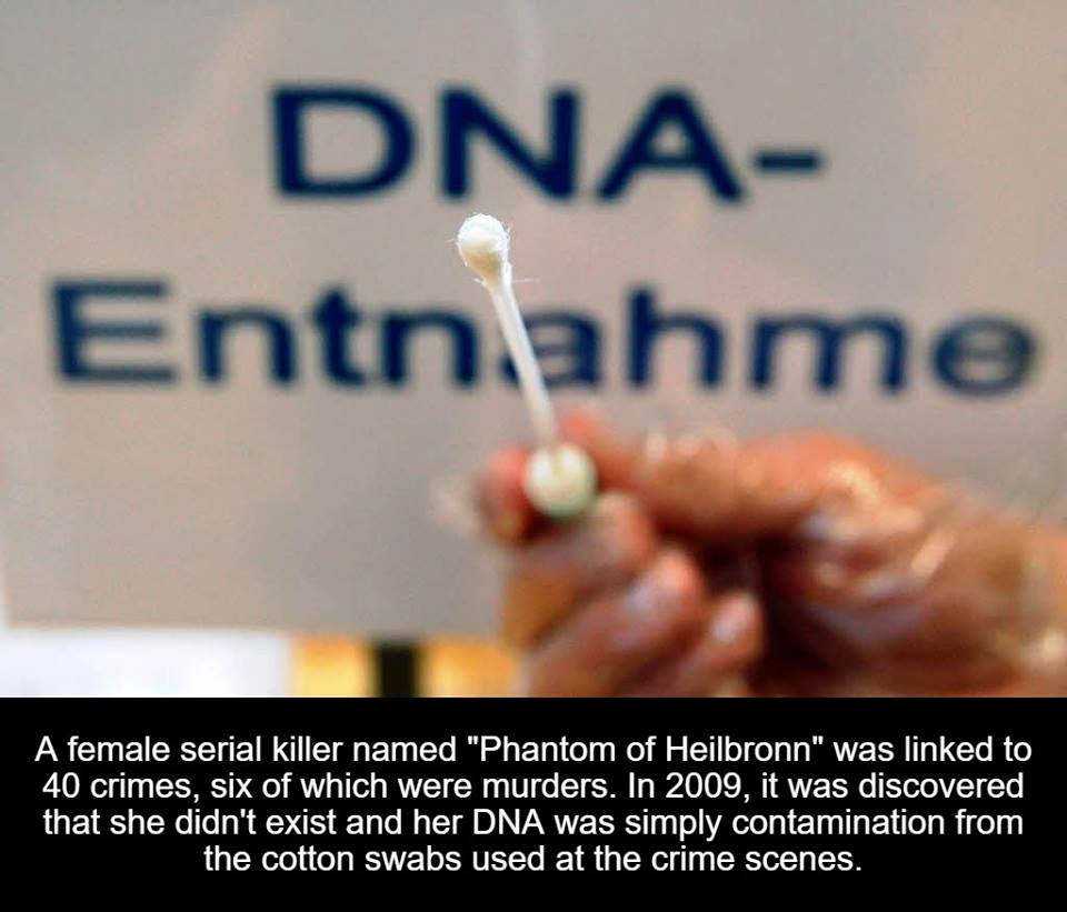 photo caption - Dna Entnahme A female serial killer named "Phantom of Heilbronn" was linked to 40 crimes, six of which were murders. In 2009, it was discovered that she didn't exist and her Dna was simply contamination from the cotton swabs used at the cr