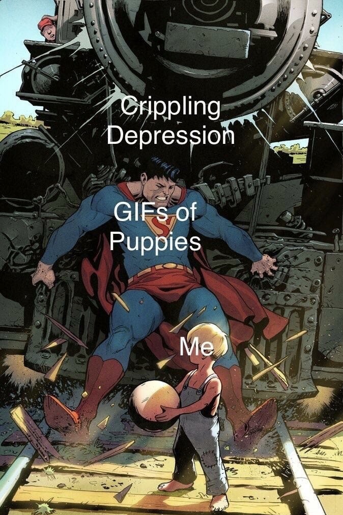 Crippling Depression GIFs of Puppies Me