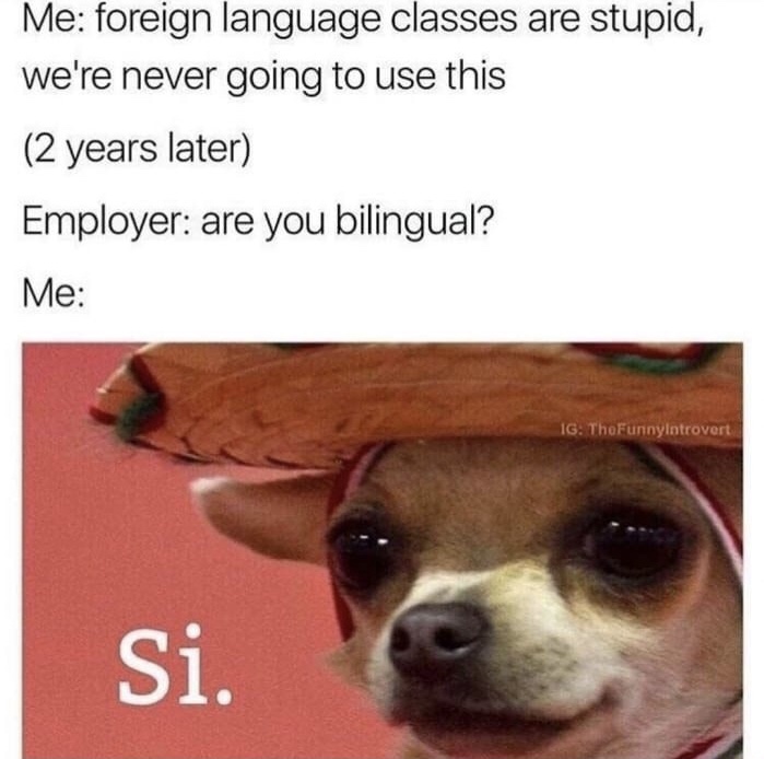 chihuahua with sombrero meme - Me foreign language classes are stupid, we're never going to use this 2 years later Employer are you bilingual? Me Ig TheFunnylotrovert Si.