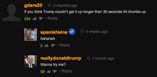 14 Hilariously Bizarre Comments on Stormy Daniels Videos on Pornhub
