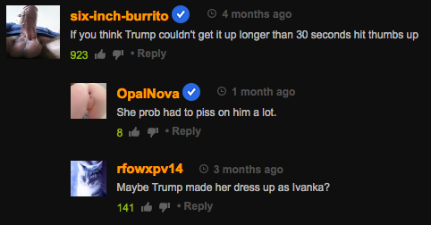 14 Hilariously Bizarre Comments on Stormy Daniels Videos on Pornhub