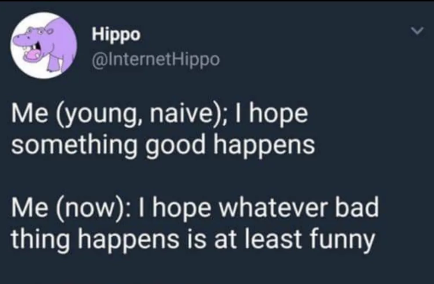 lyrics - Hippo Hippo Me young, naive; I hope something good happens Me now I hope whatever bad thing happens is at least funny