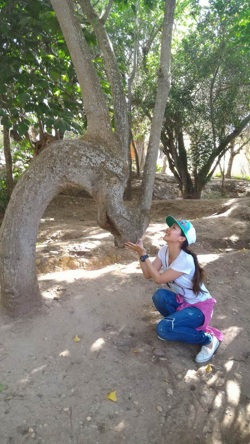 woman petting tree that looks like a dragon