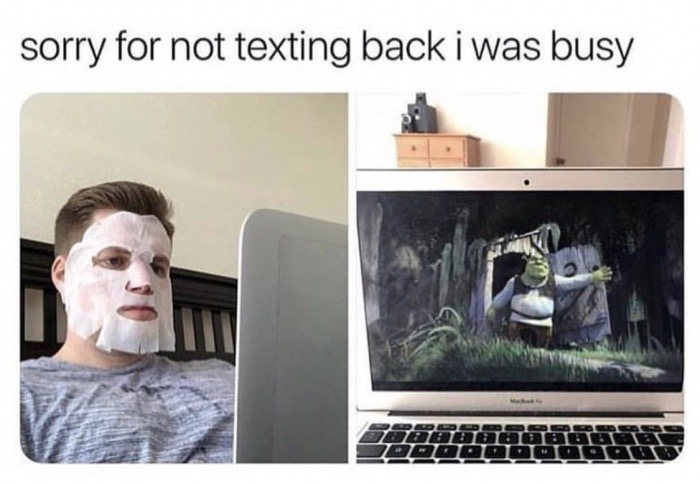 sorry for not texting back meme - sorry for not texting back i was busy
