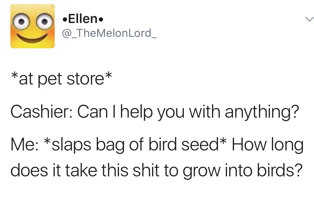 happiness - O Ellen Ellen at pet store Cashier Can I help you with anything? Me slaps bag of bird seed How long does it take this shit to grow into birds?