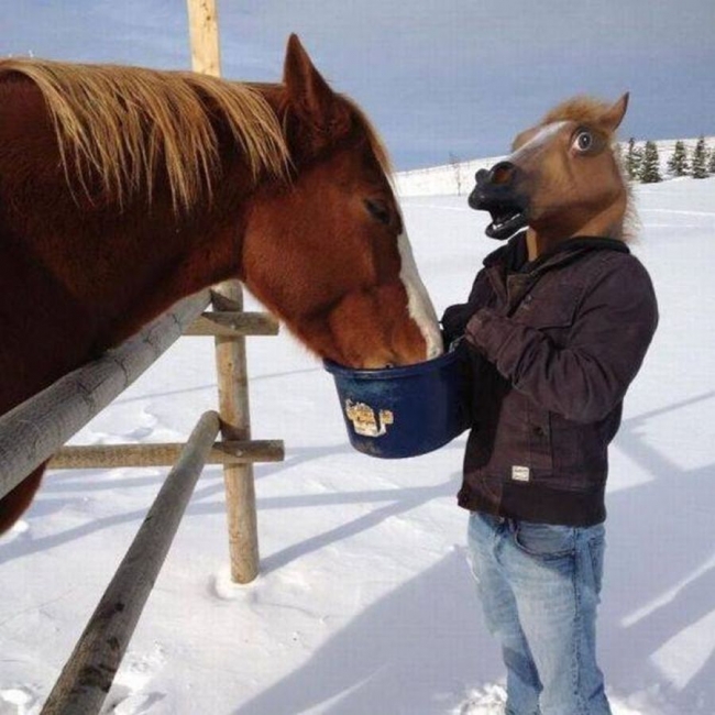 horse head meme