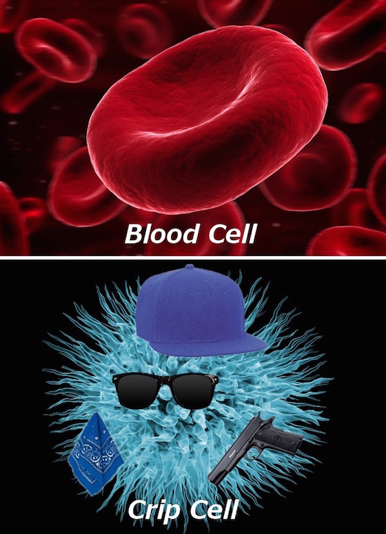 blood cell vs crip cell - Blood Cell Crip Cell