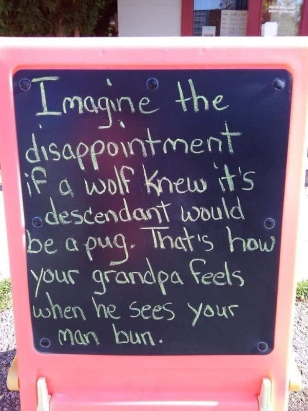 man bun pug meme - Imagine the disappointment if a wolf knew it's Lodescendant would be apug. That's how your grandpa feels when he sees your lo man bun.