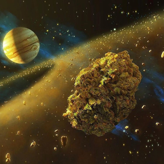 space cannabis