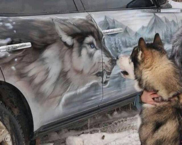 wolf growling at a wolf mural on a car