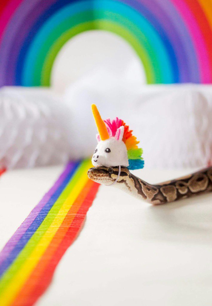 random pics - unicorn snake