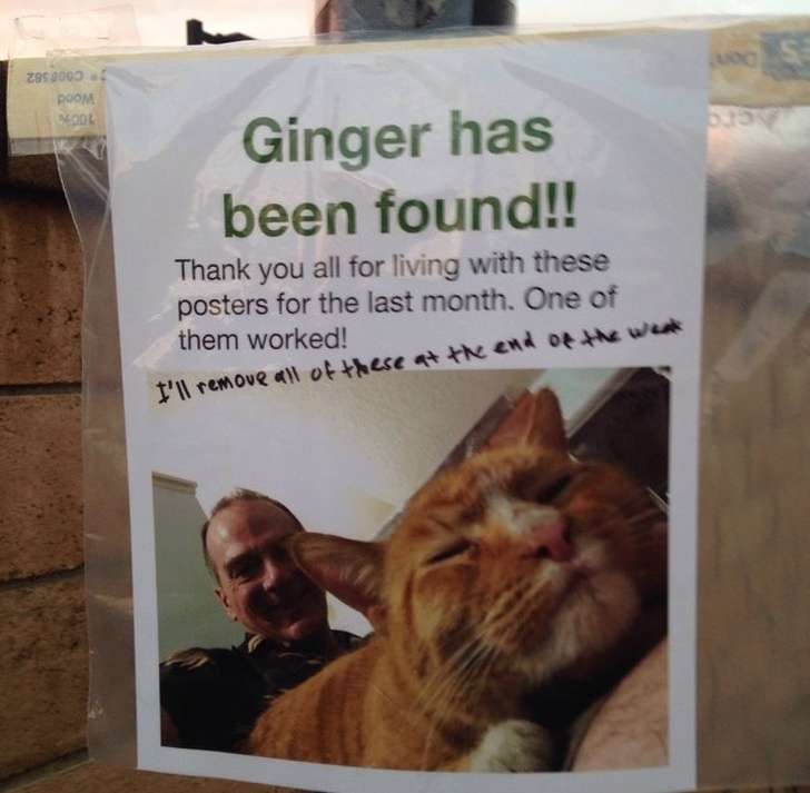 man fucks a cat - 299 3003 Lool Ginger has been found!! Thank you all for living with these posters for the last month. One of them worked! I'll remove all of these at the end of the went