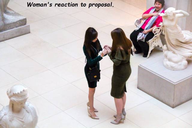 wholesome tweet - Woman's reaction to proposal.
