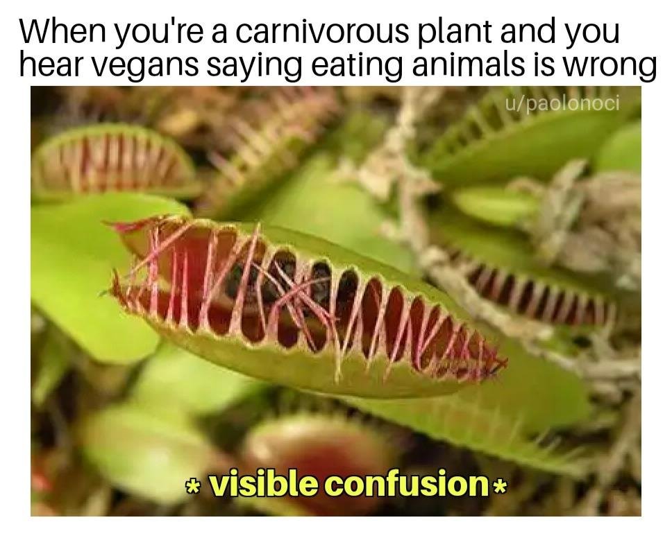 venus fly trap plant - When you're a carnivorous plant and you hear vegans saying eating animals is wrong upaolonoci Visible confusion