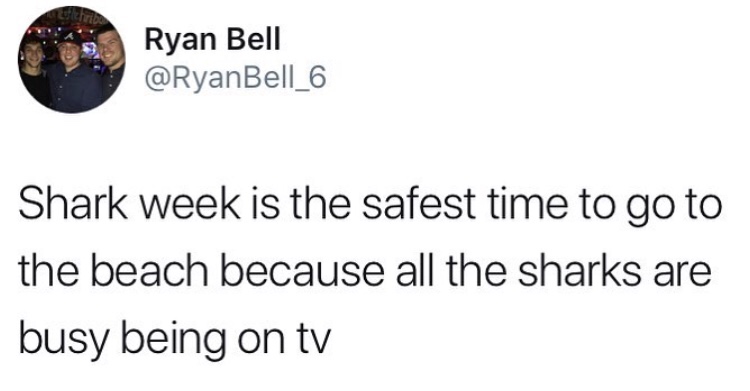 shark week is the safest time - Ryan Bell 6 Riyama Bell Shark week is the safest time to go to the beach because all the sharks are busy being on tv