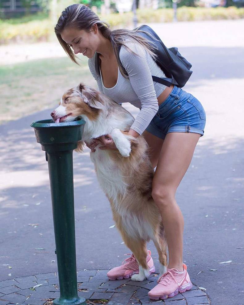 hot girl helping dog drink from water fountain