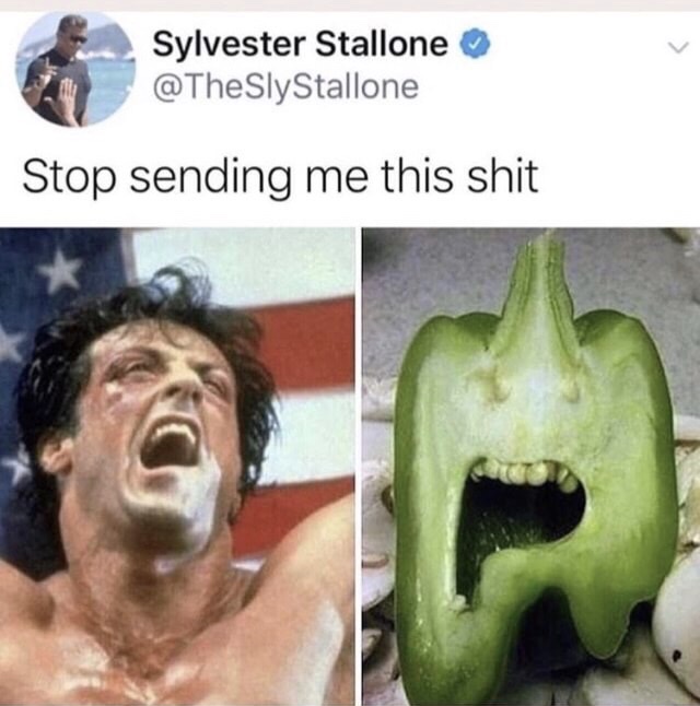 meme stream - sylvester stallone stop sending me - Sylvester Stallone Stop sending me this shit