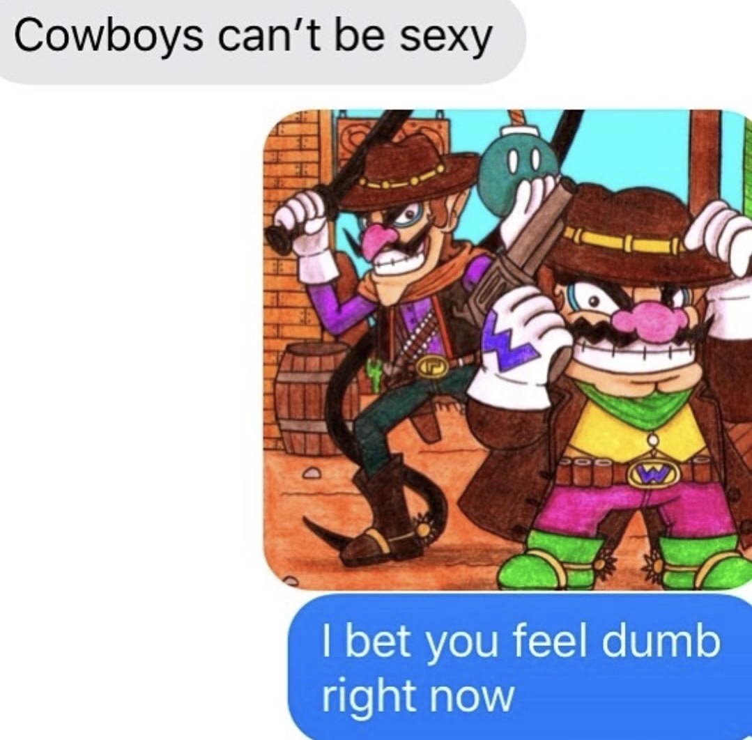 meme of wario waluigi cowboys - Cowboys can't be sexy I bet you feel dumb right now