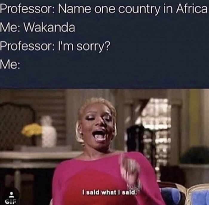 memes - said what i said gif - Professor Name one country in Africa Me Wakanda Professor I'm sorry? Me I sald what I sald.