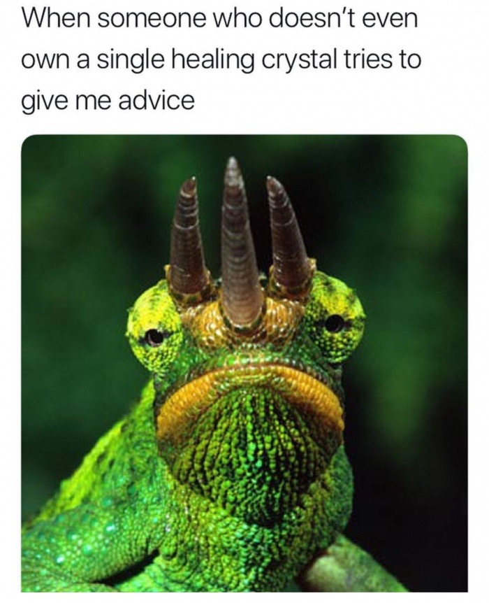 memes - chameleon lizard - When someone who doesn't even own a single healing crystal tries to give me advice