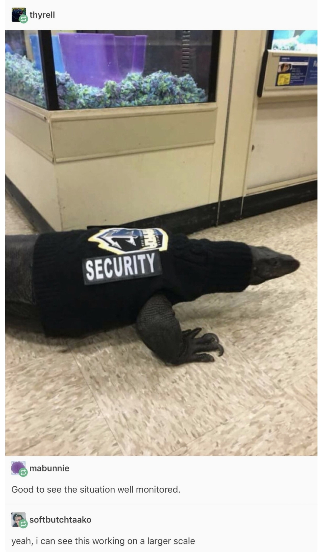 memes - komodo dragon security guard - thyrell Security mabunnie Good to see the situation wel monitored softbutchtaako yeah, i can see this working on a larger scale