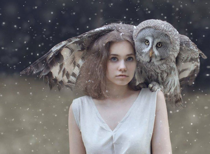 owl perched on shoulder