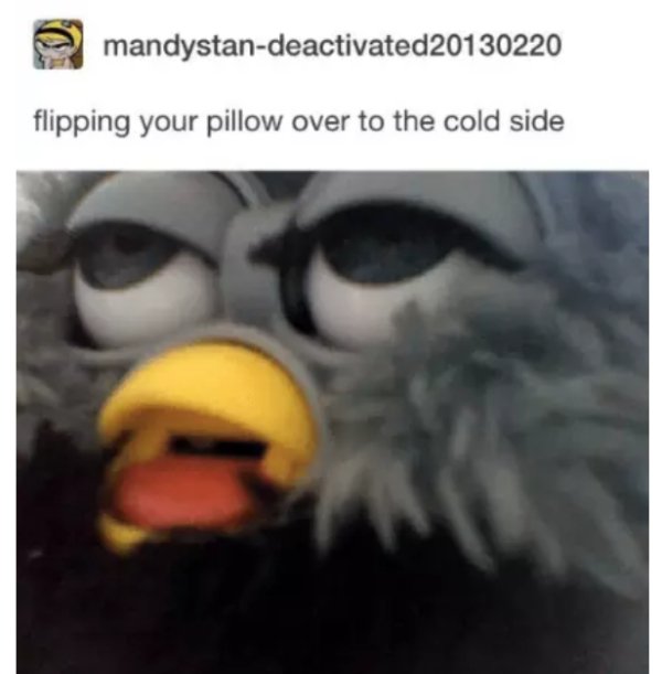 furby meme - mandystandeactivated20130220 flipping your pillow over to the cold side