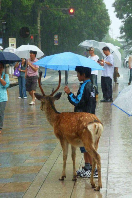 30 Acts Of Kindness That Will Restore Your Faith in Humanity