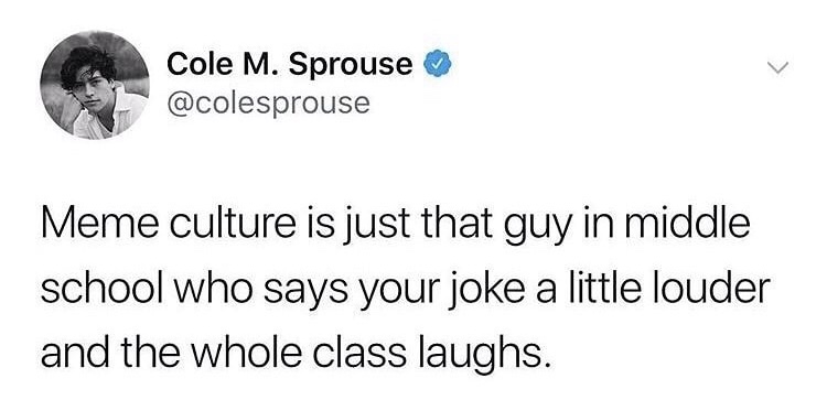 memes - middle school relatable school memes - Cole M. Sprouse Meme culture is just that guy in middle school who says your joke a little louder and the whole class laughs.