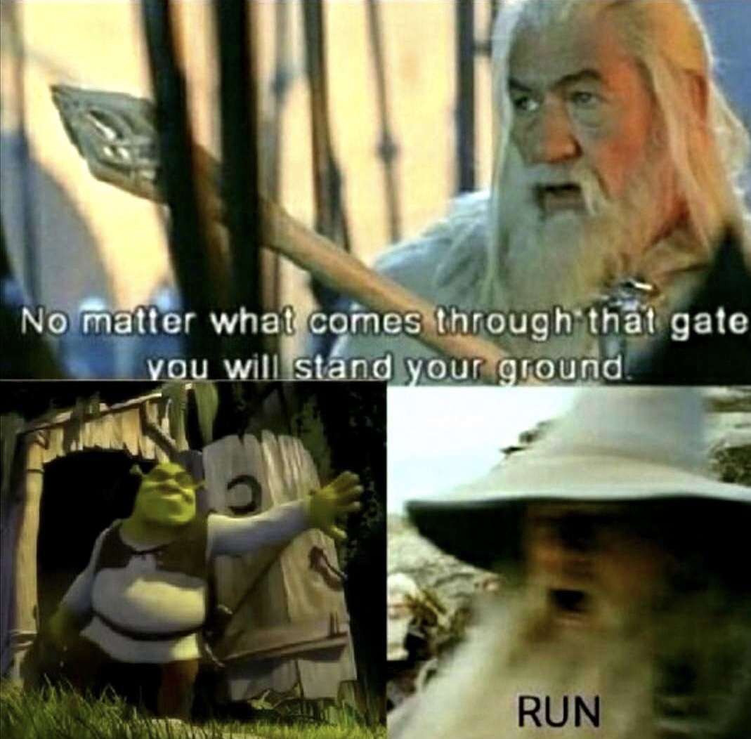 memes - sonic gandalf meme - No matter what comes through that gate you will stand your ground. Run