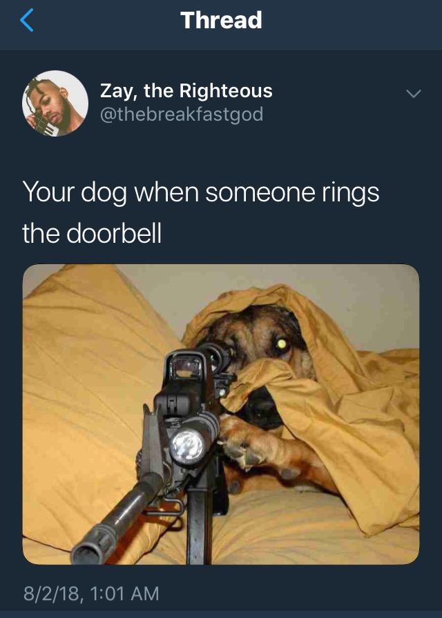 memes - people being killed - Thread Zay, the Righteous Your dog when someone rings the doorbell 8218,